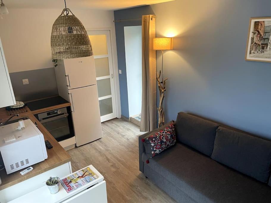 Vila La Halte Des Marais Huismes Exteriér fotografie
